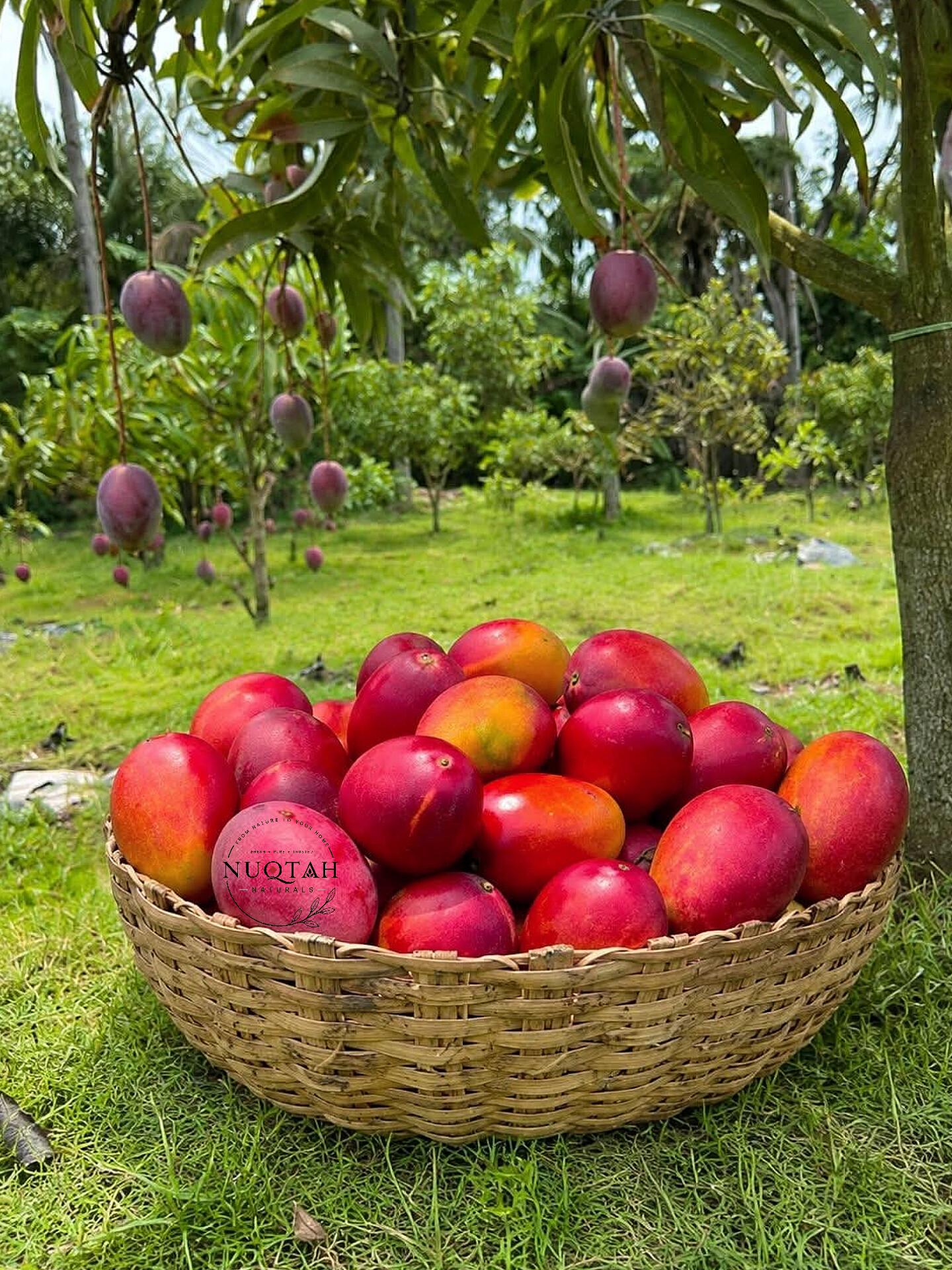 জাপানিজ মিয়াজাকি আম