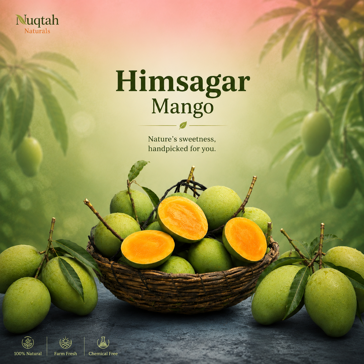 Himshagar Mango